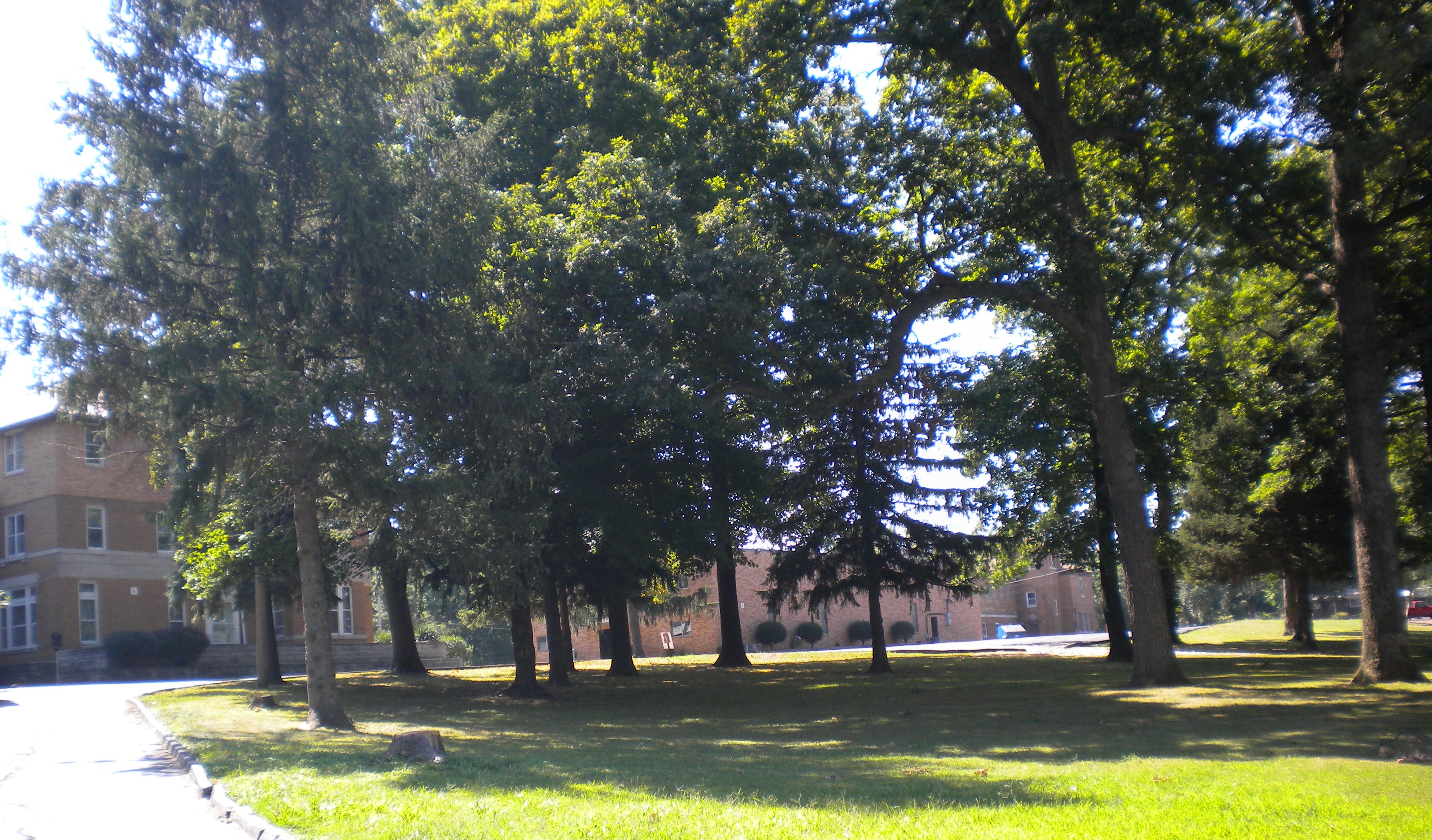 1. Entrance View from Ashby Road